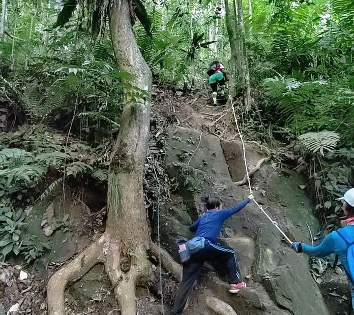 Hikers using a steep nature trail section at Bukit Dinding.